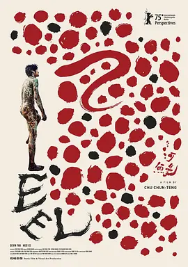 ���� ����