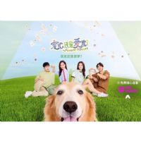 ���������ǰ��ң�