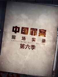 �ﰸ�ֳ�ʵ¼������