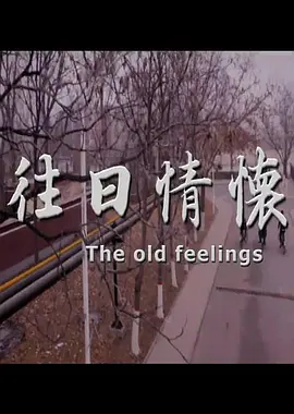 �����黳2017