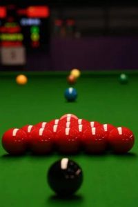 ˹ŵ������ʿ�������ķ�֮һ����