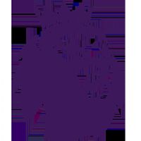 Ӣ������ ����VSŵ����ɭ��20260305