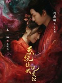 ϵͳ����˵����